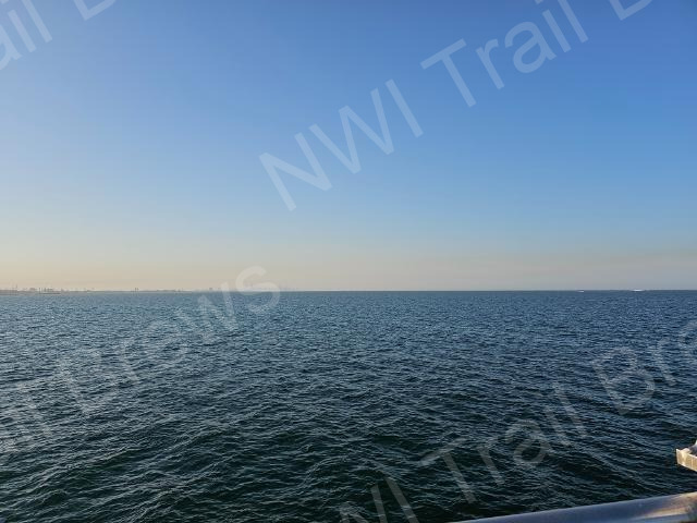 whiting-16