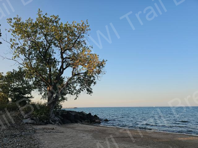 whiting-20