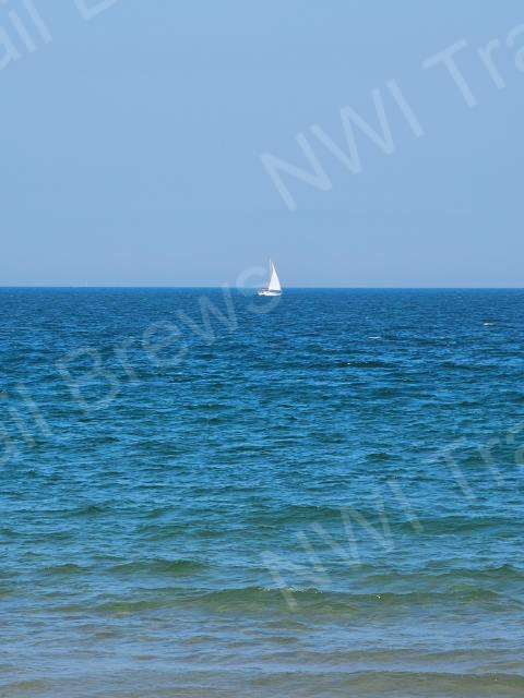 whiting-77